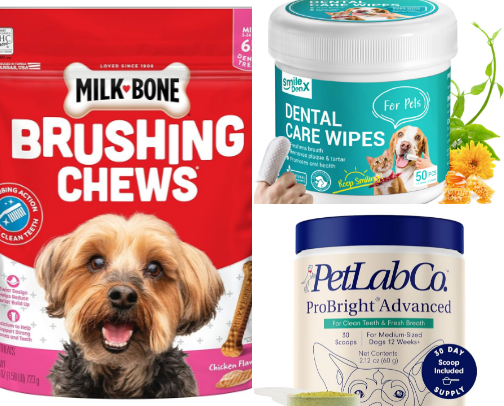 Dog Must Haves cover photo collage
