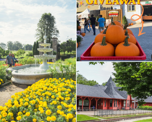 Calm Days Out: 10 Autism-Friendly Spots Around Hamilton for Sensory-Sensitive Kids cover photo collage