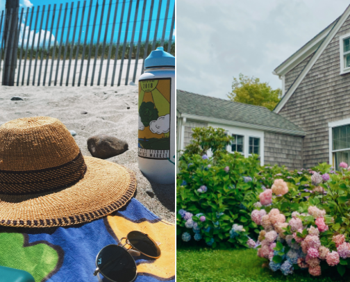 A week on the vineyard cover photo collage