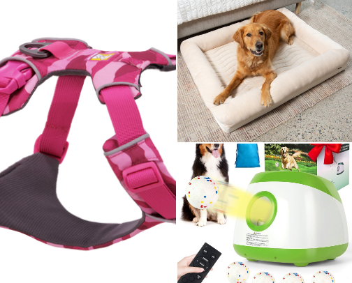 Dog Must-Haves 🐶🐕🐩🐾 cover photo collage