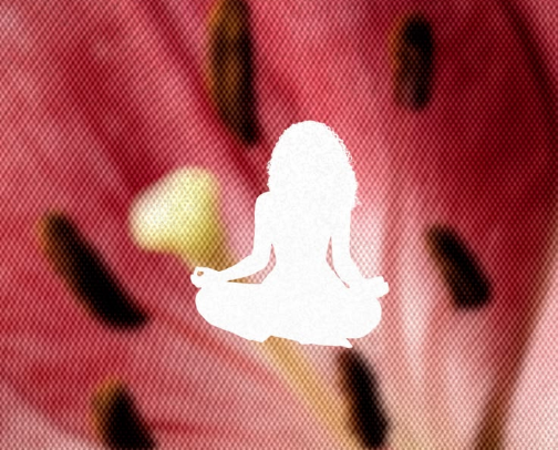 Treat your Body- Herbal Tea cover photo collage