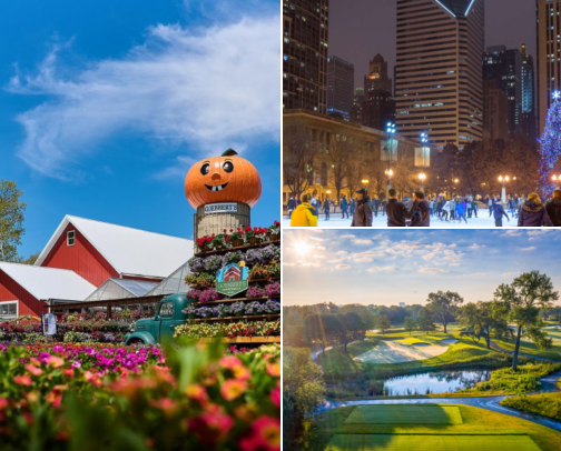 Things to do near me cover photo collage