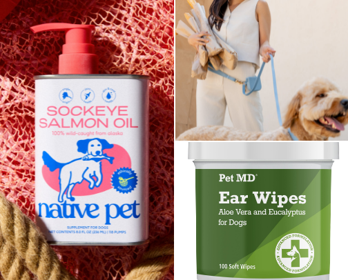 Must have dog essentials cover photo collage