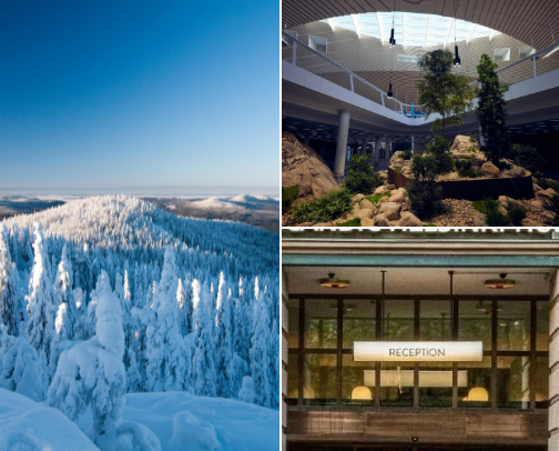 My Best Destination Tips cover photo collage