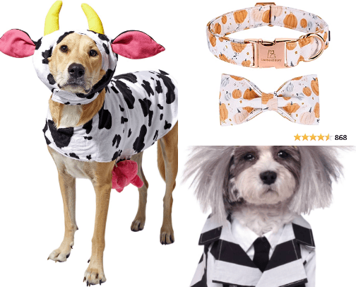 "Unleash the spook-tacular fun this Halloween with costumes your pets will howl about! 🦴🎃👻   22 items              
s Best cover photo collage
