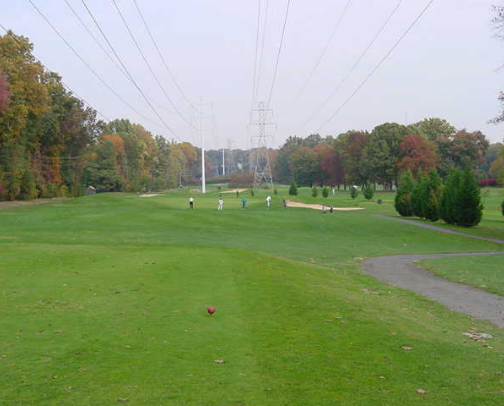 My top recs cover photo collage