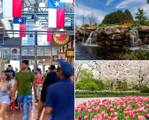 The BEST places to visit in Dallas Texas ✨ 🤍 cover photo collage