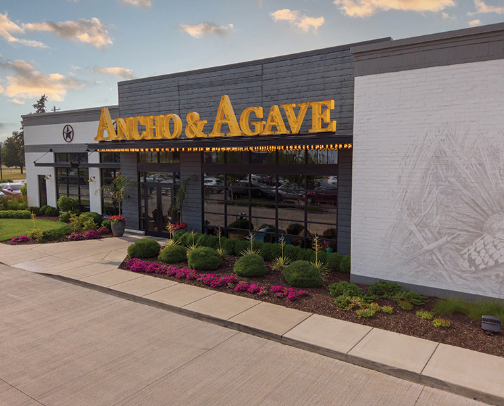 Central Illinois Guide cover photo collage