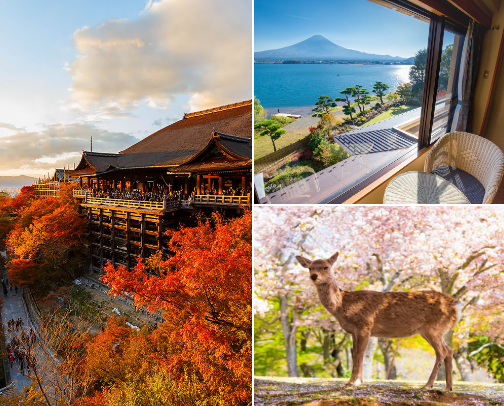 Stunning spot in Japan worth adding to your travel wishlist: cover photo collage
