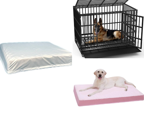 Things My Dogs Love cover photo collage