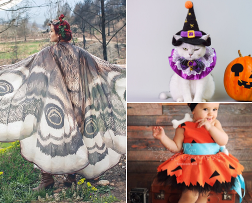 Halloween essentials we love cover photo collage