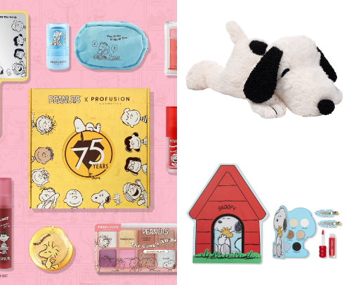 My Favorite Snoopy Products! cover photo collage