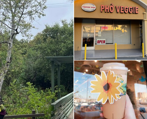 Places to go, things to do.. cover photo collage