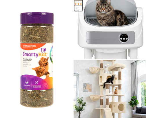 Cat Care You and your Kitty will love cover photo collage