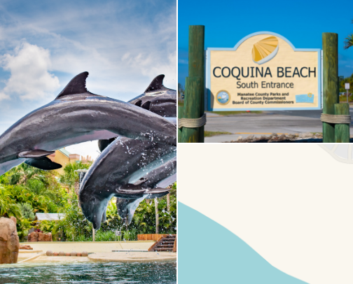 Florida Must Do's cover photo collage