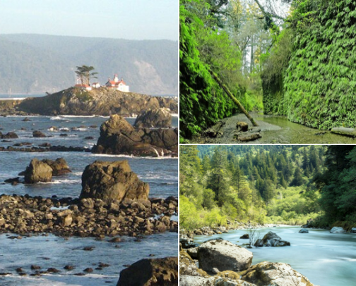 Crescent City Family Trip Hot Spots cover photo collage