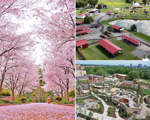 Things to do in Raleigh! cover photo collage