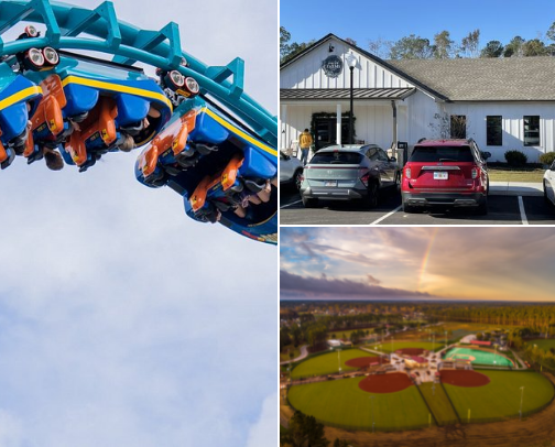 South Georgia favorites cover photo collage