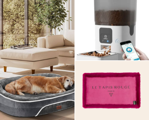 Accessories and supplies for pets cover photo collage