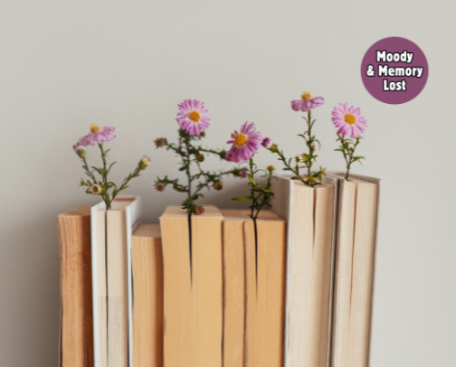 My Menopause Reading & Resources cover photo collage