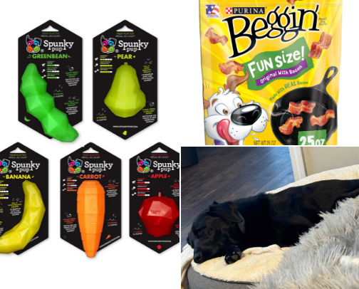 Favorite Pet Products cover photo collage