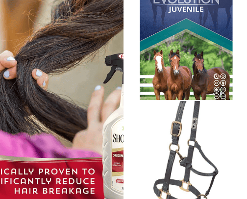 Horse Essentials cover photo collage