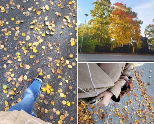 Chic fall fashion fav's cover photo collage