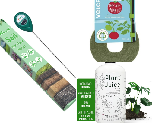 Plant Life cover photo collage