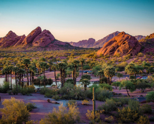 The Phoenix List 🌵 cover photo collage