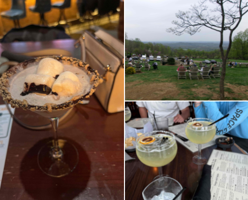 Places to go in NOVA cover photo collage
