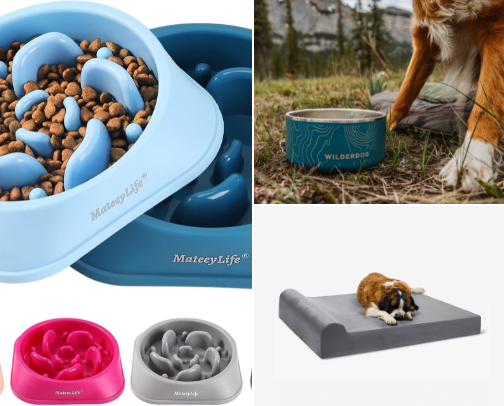 Pet Essentials Every Pet Owner Needs cover photo collage