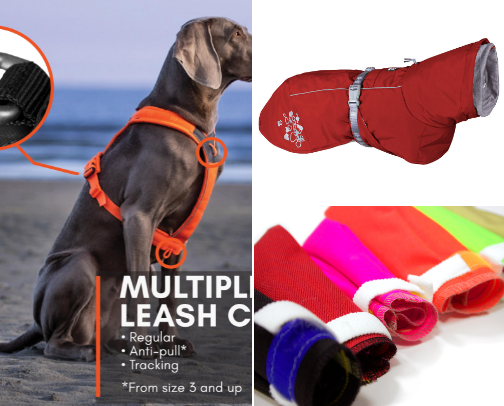 My fav dog gear cover photo collage