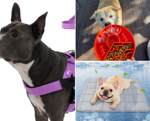 'IT' GIRL DOG MOM ESSENTIALS cover photo collage