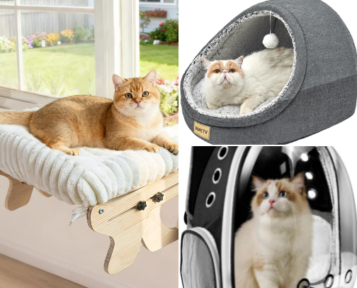 Things my Cats Love and deserve for a happy life cover photo collage
