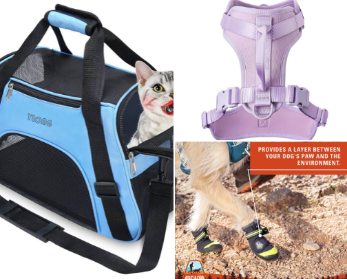 Pet essentials ✨ cover photo collage