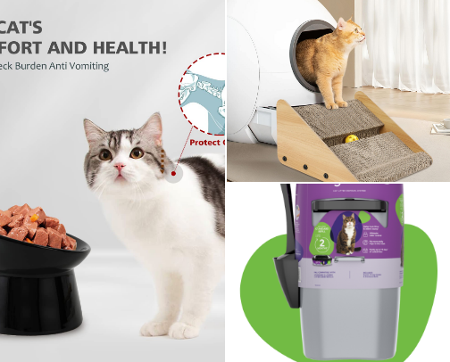 Only the best for our Kitties cover photo collage