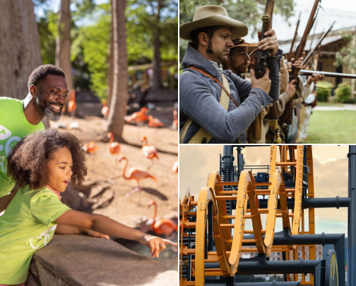 Things to do in San Antonio cover photo collage
