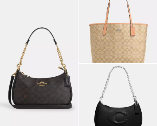The BEST everyday bags...COACH edition! cover photo collage