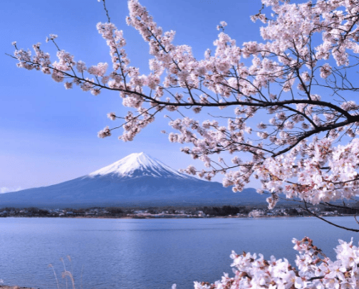 My First Trip To Japan cover photo collage