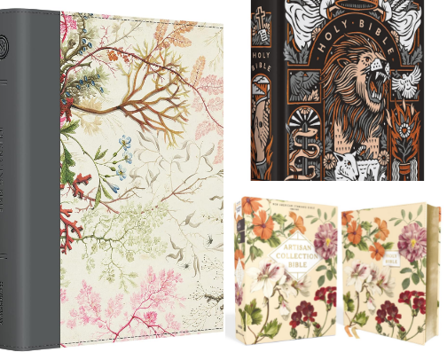 My favorite Bibles! cover photo collage