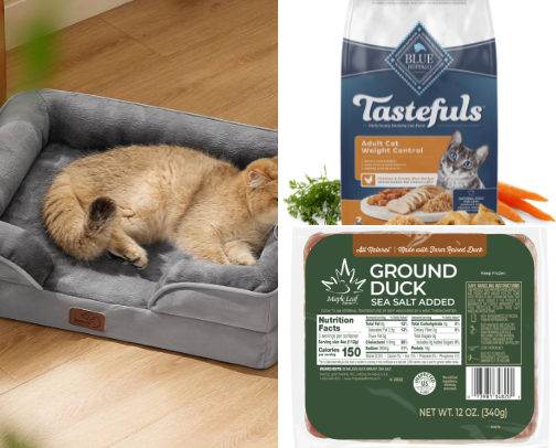 Cat mom finds🐈‍⬛ cover photo collage