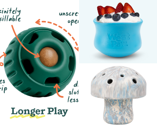 Dog Toys & Enrichment cover photo collage