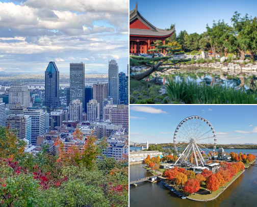 The ultimate Montreal bucket list from a local cover photo collage