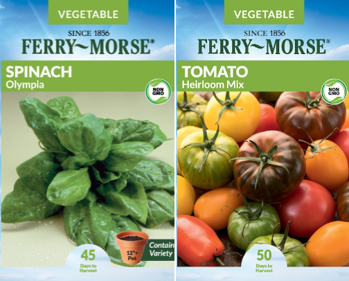 New to Gardening? Start with These Easy-to-Grow Vegetables cover photo collage