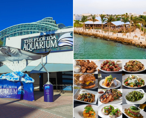 Tampa Travel Experiences ✨ Top Things To Do, Must-See Attractions & Local Favorites cover photo collage