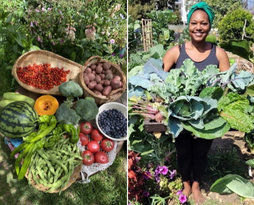 5 Types of Gardening Styles Every Beginner Gardener Should Know cover photo collage