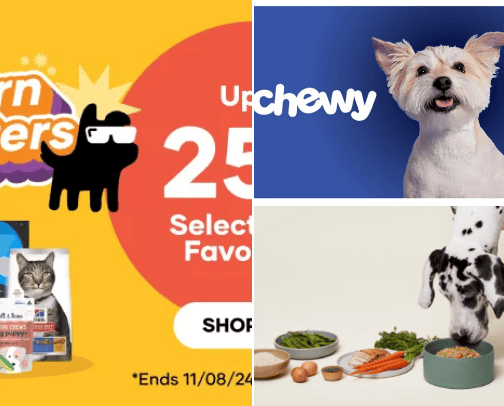 From Treats to Toys: My Favorite Finds for Every Kind of Pet cover photo collage
