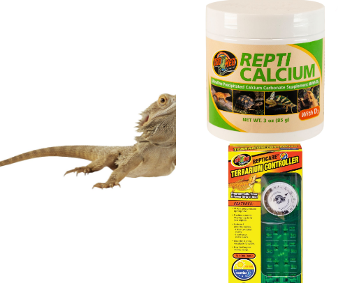 EVERYTHING Your Bearded Dragon Will Ever Need cover photo collage