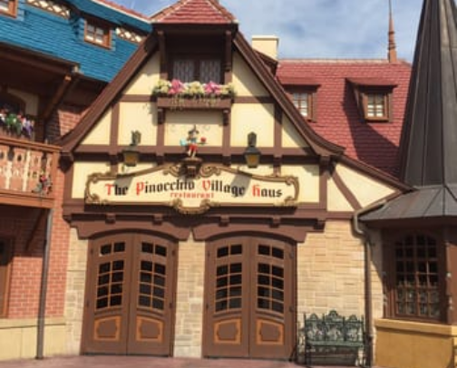 Magic Kingdom cover photo collage