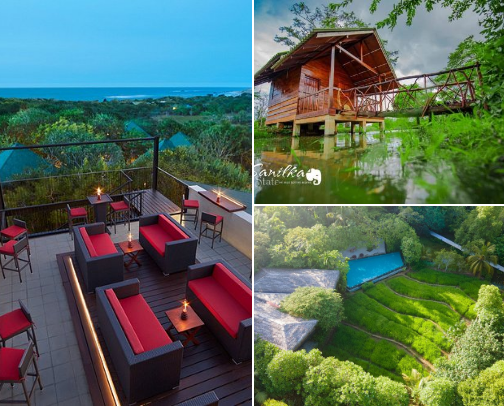 Must stay hotels in Sri Lanka cover photo collage